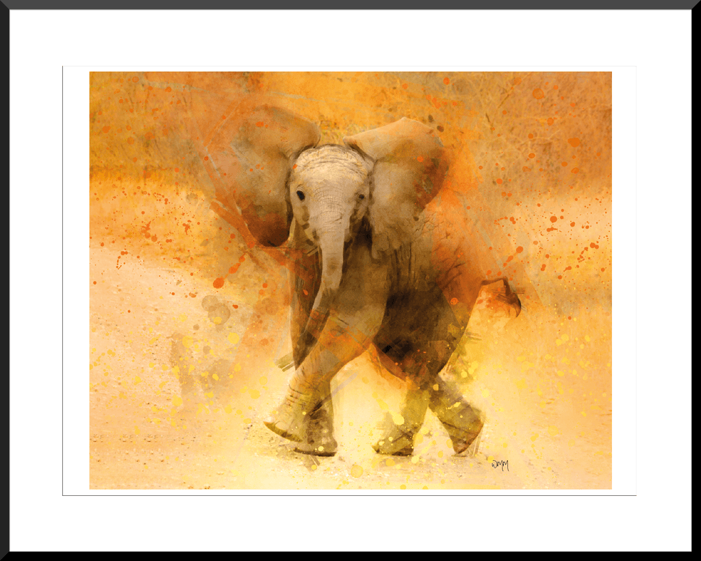Elephant 'Stompy' Wall Art Print freeshipping - Woolly Mammoth Media